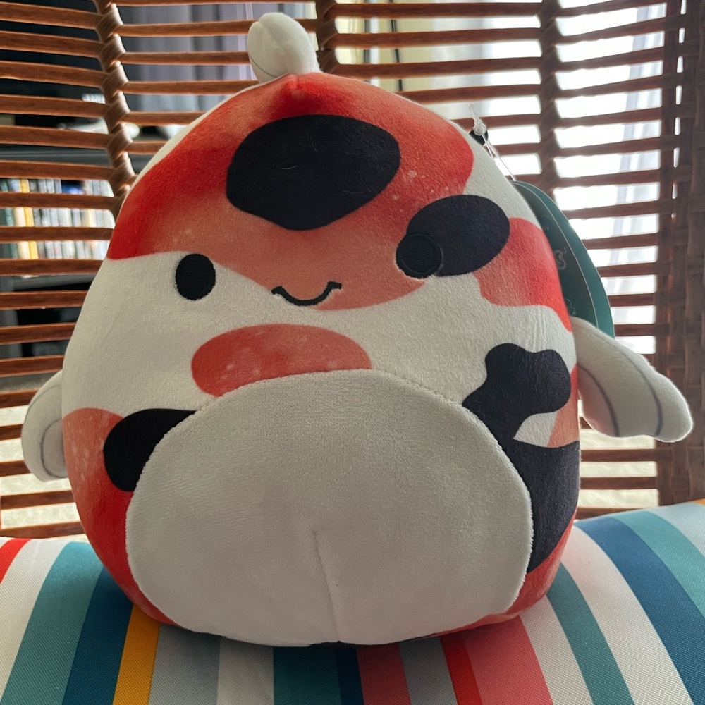 Dandii the Koi fish Squishmallow